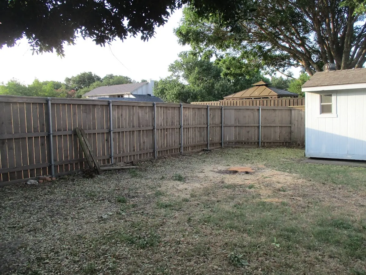 Cleared yard after professional tree removal in Ballston Lake